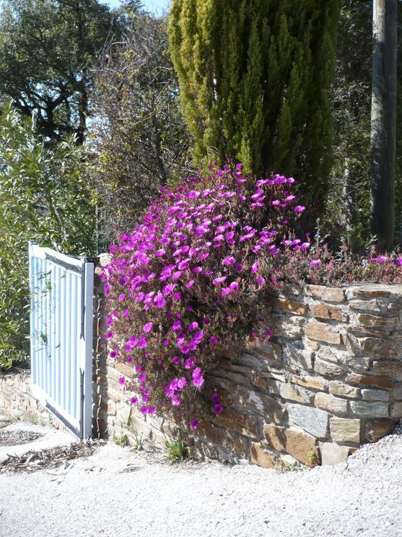 Villa Merveille Bormes-les-Mimosas Exterior photo